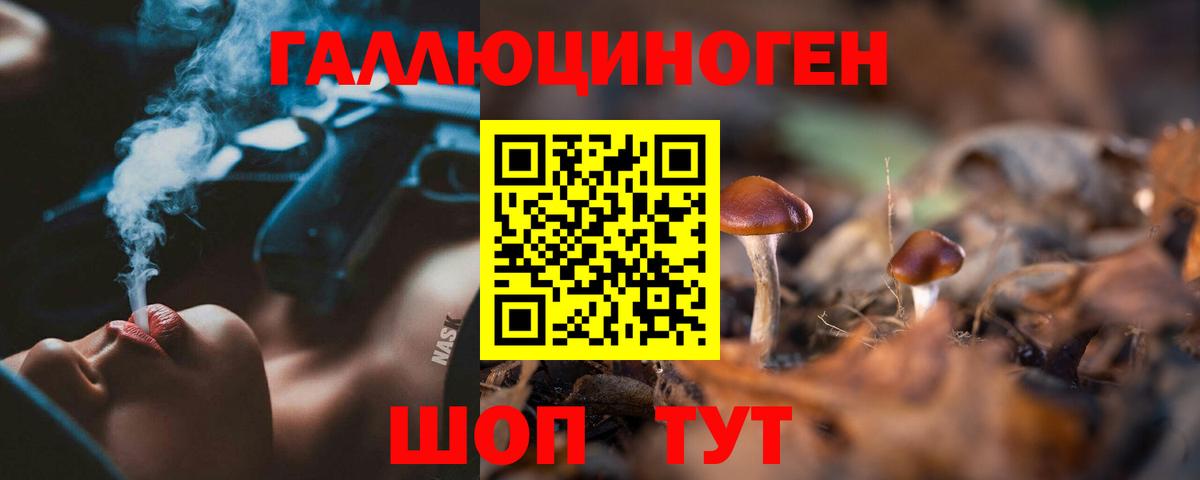 Моздок  купить   Вход с VPN  Галлюциногенные грибы Psilocybe 